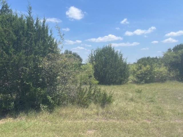 a view of a field of grass and trees