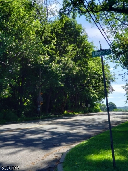 a view of yard with green space