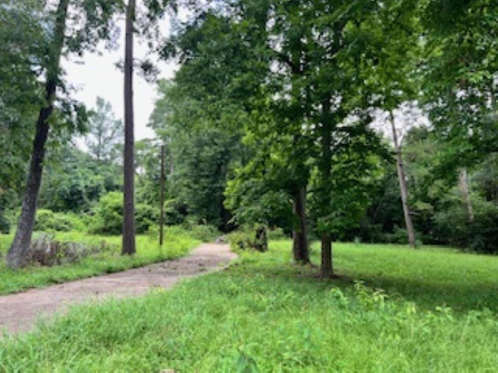 a view of green field with trees