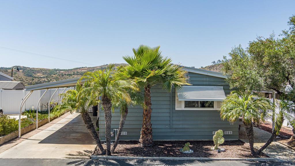 a plant that is sitting in front of a house