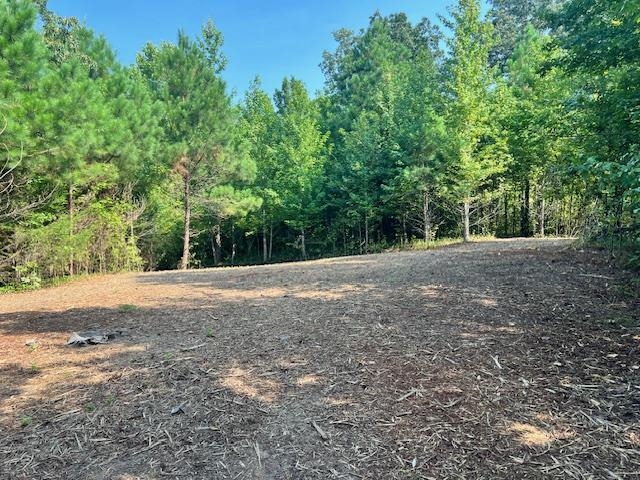 a view of dirt yard with large trees