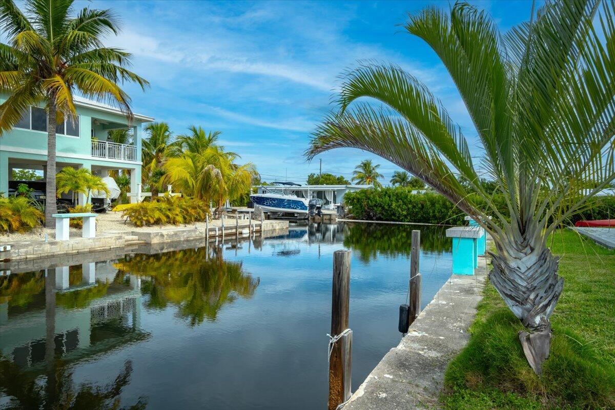 a view of a lake with a palm trees