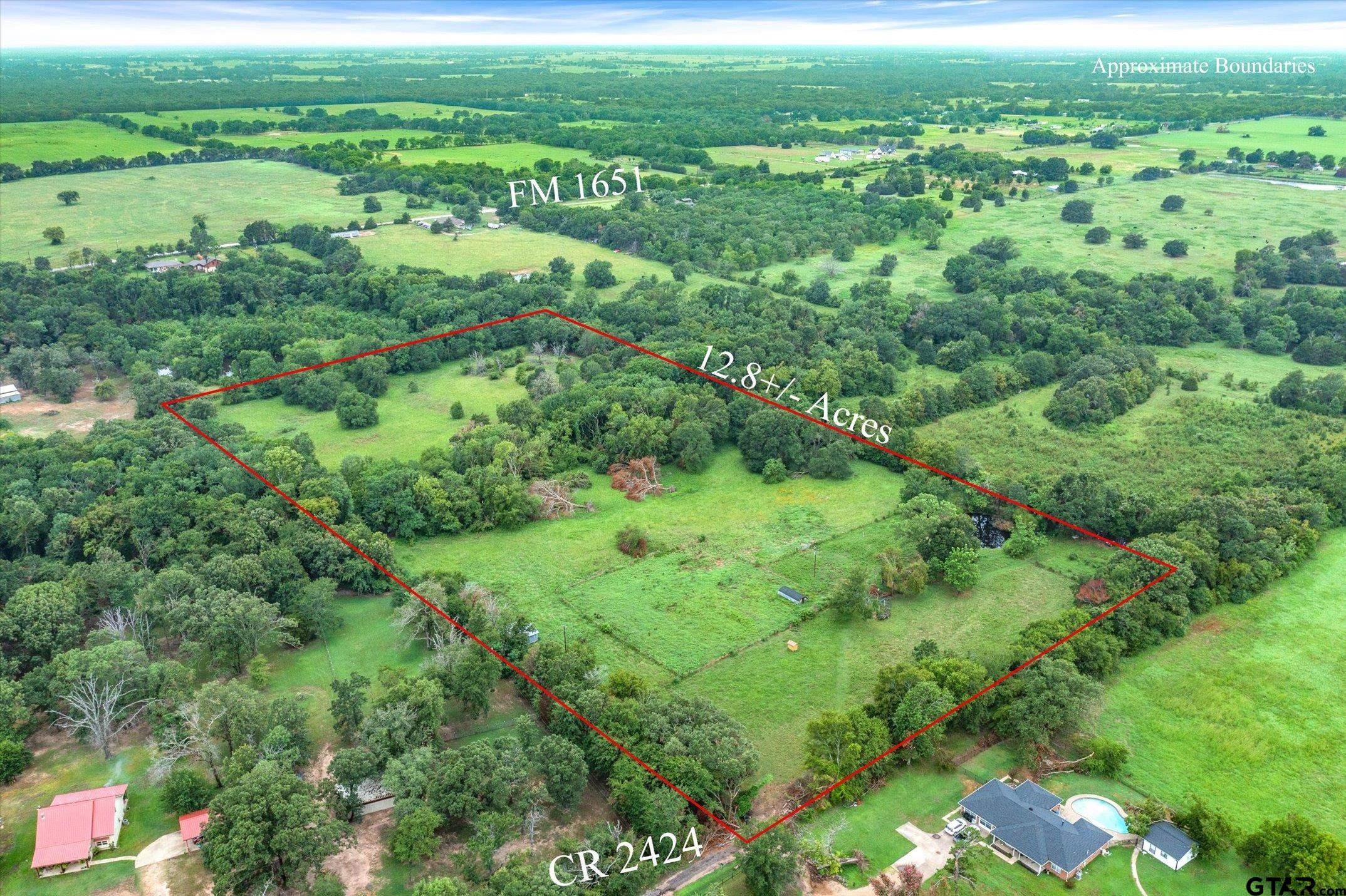 a view of a green field with lots of bushes