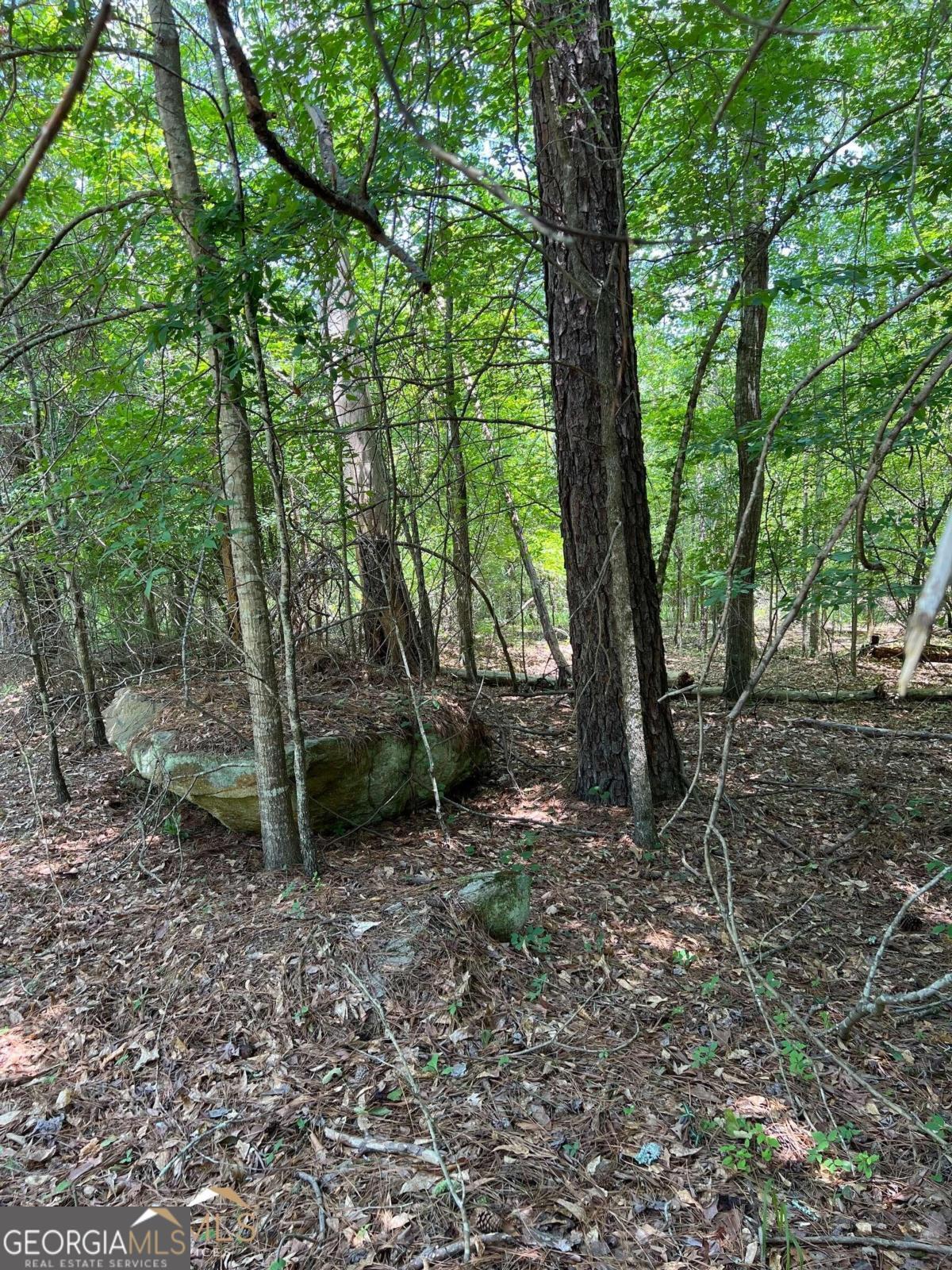 a view of outdoor space and trees