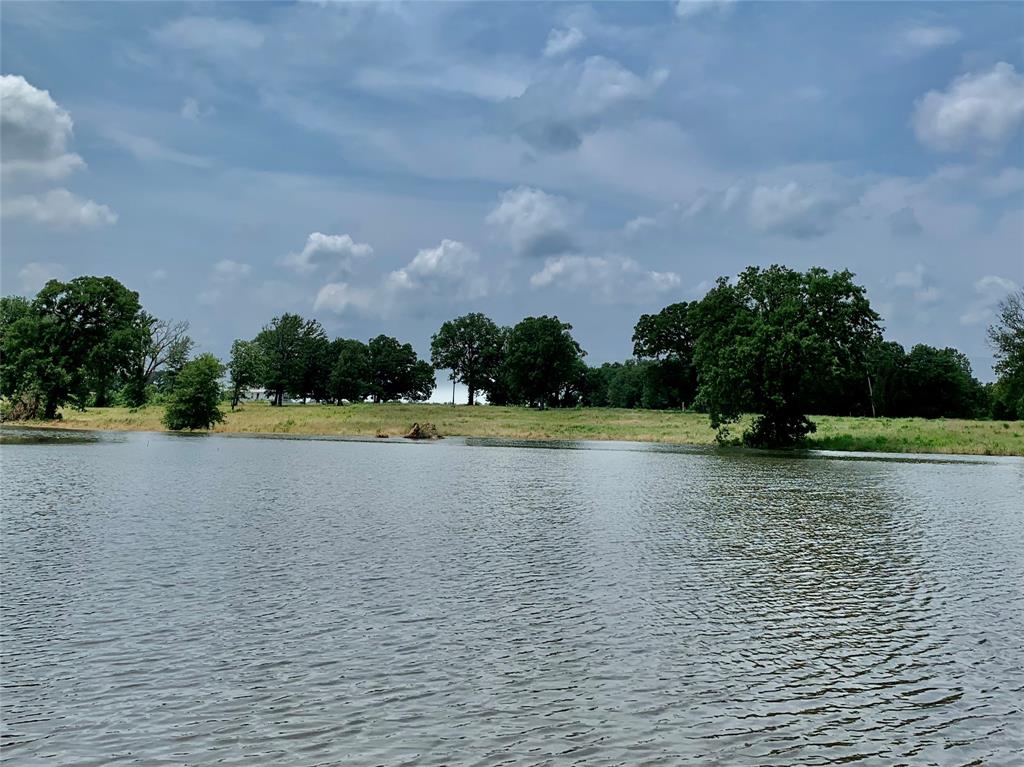 a view of a swimming pool and a yard