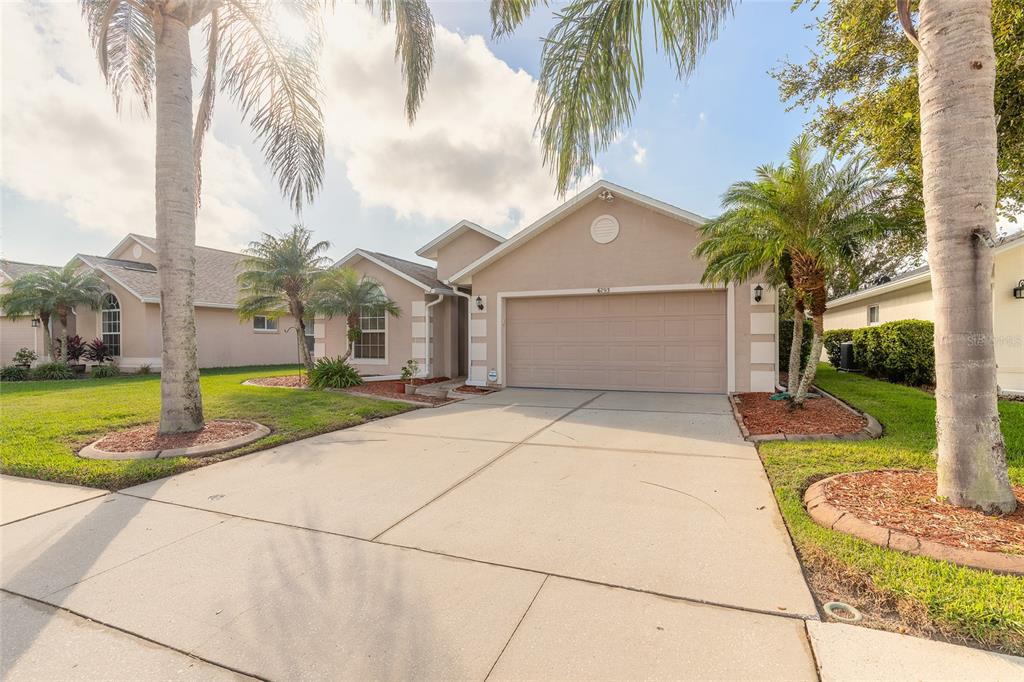 a house with palm tree in front of it