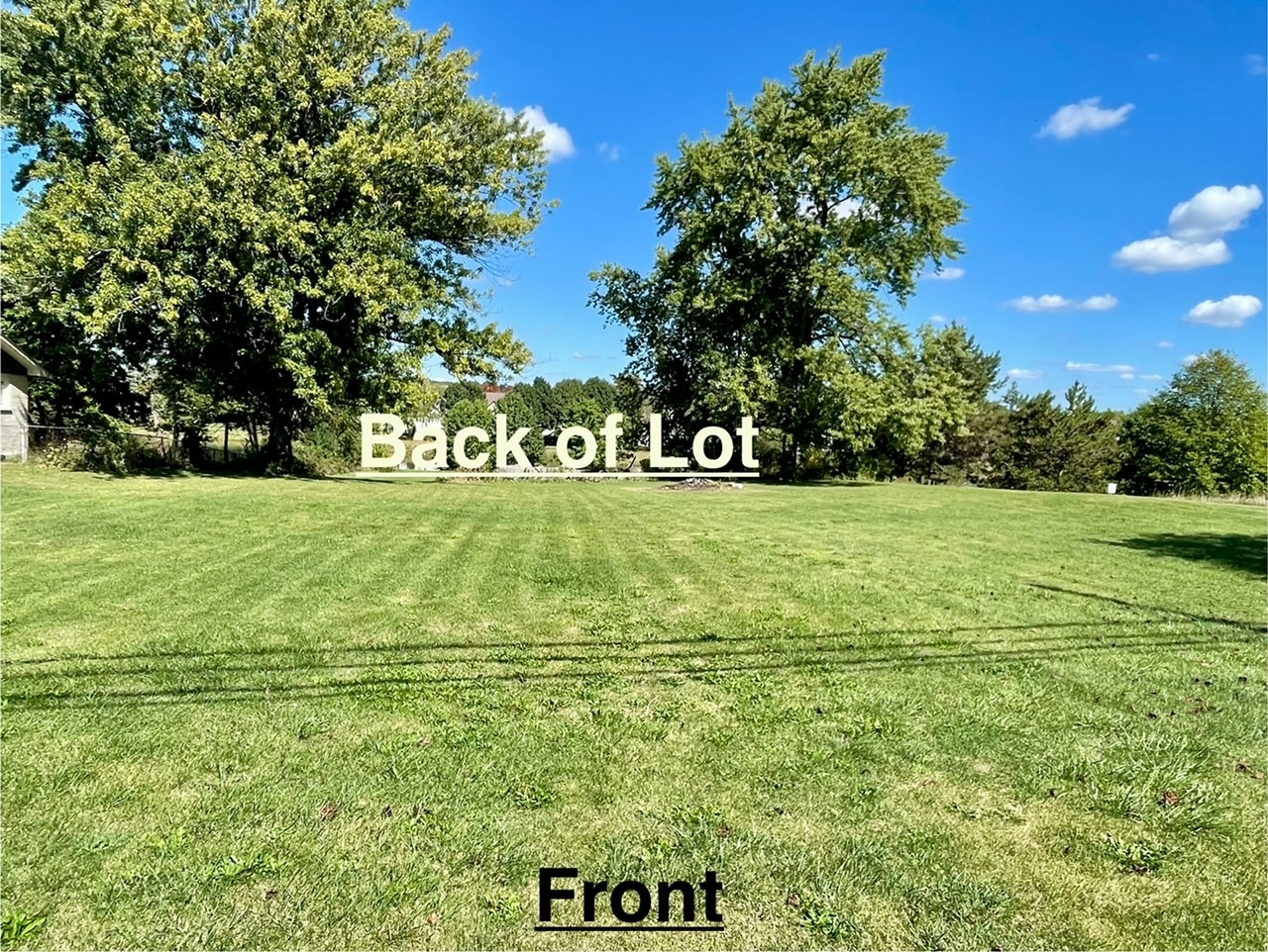 a view of a park that has a tree in the background