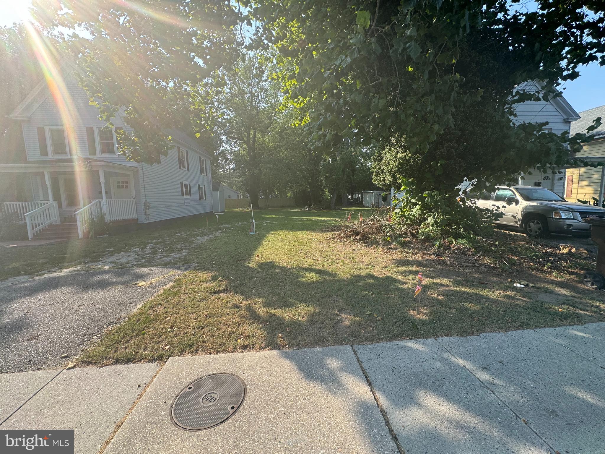 a view of a yard with large trees