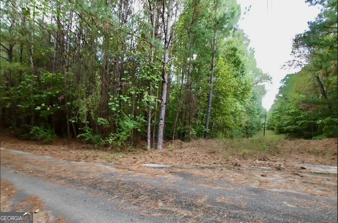 a view of a forest with trees