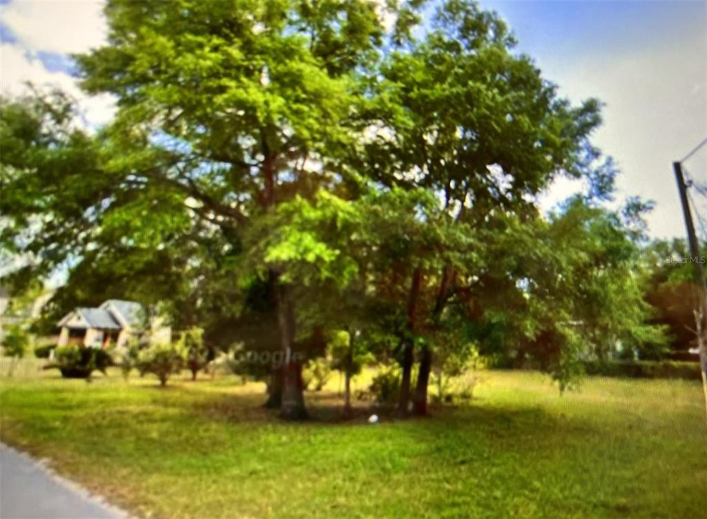 a view of yard with green space