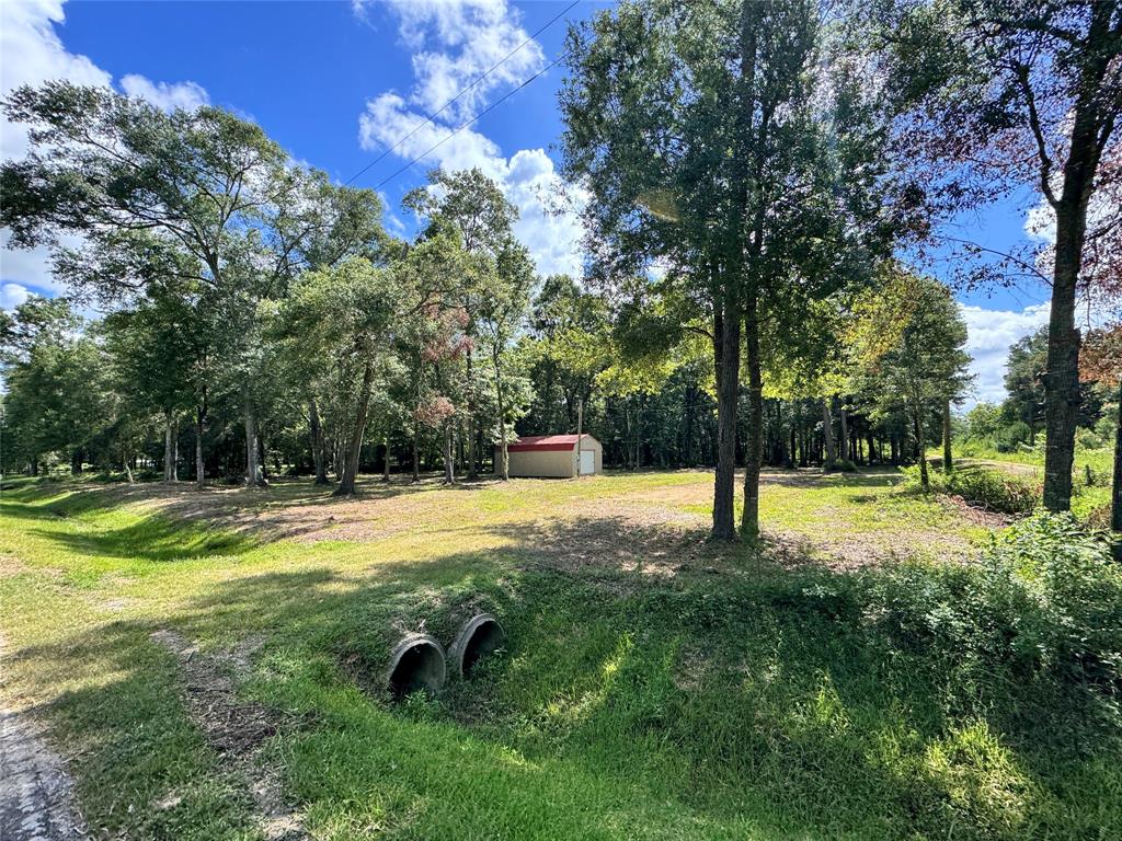 a view of a swimming pool with a yard and trees