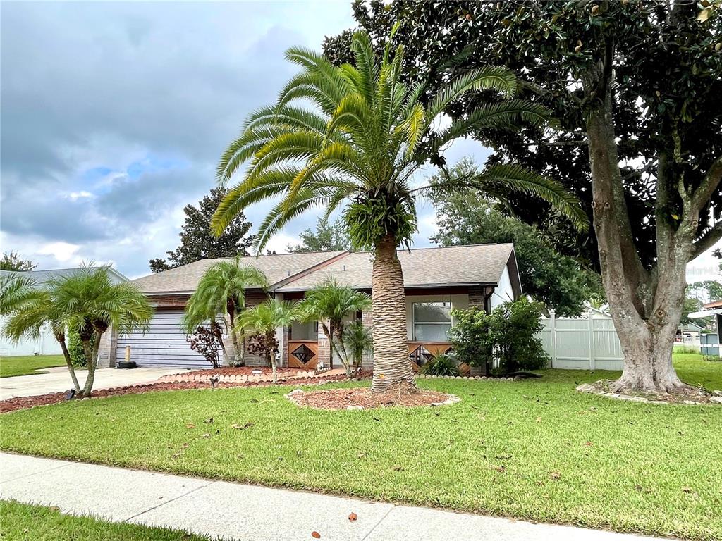 a view of a yard with a tree