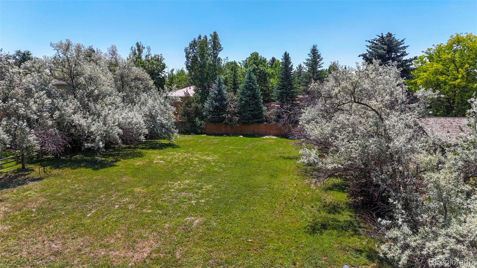 a view of yard with green space