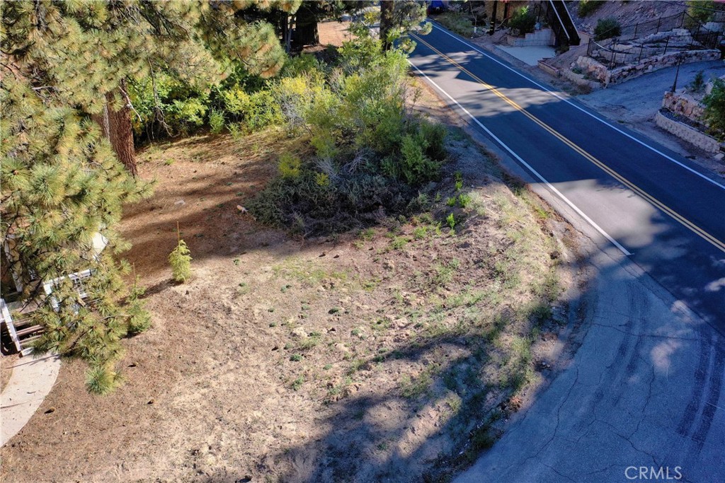 a view of a yard with plants and tree