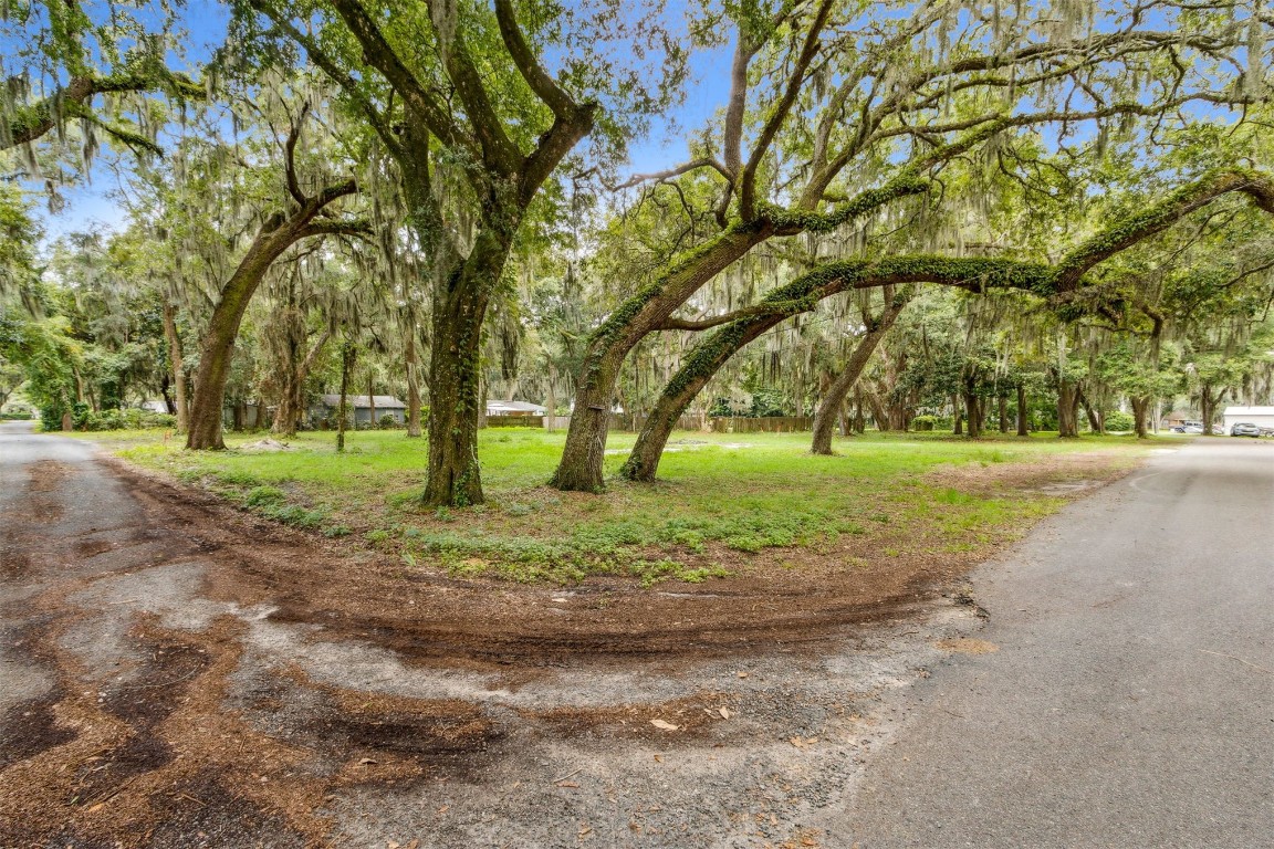 a view of outdoor space with trees