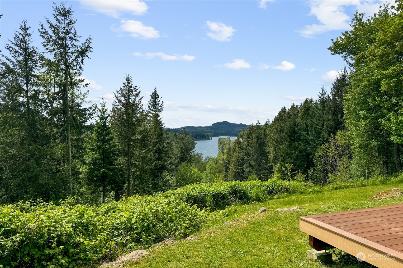 a view of a back yard