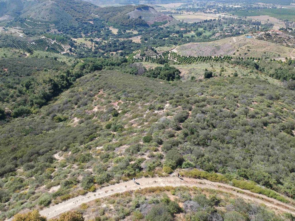 a view of a dry yard