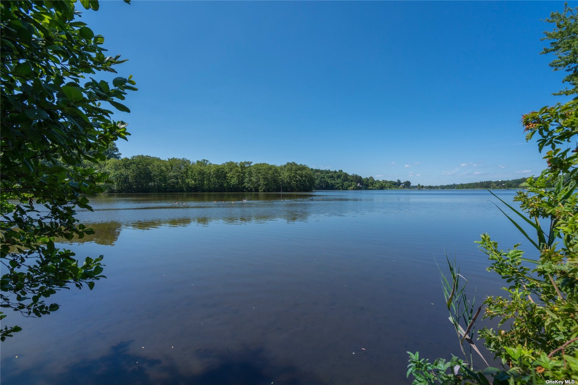 a view of a lake with a city