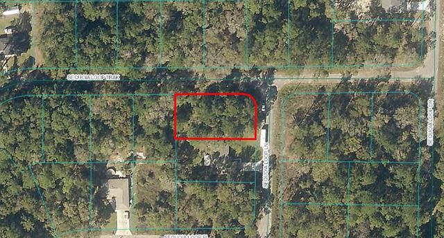 $23,000 | 0 Sequoia Loop Lane | Silver Springs Shores East