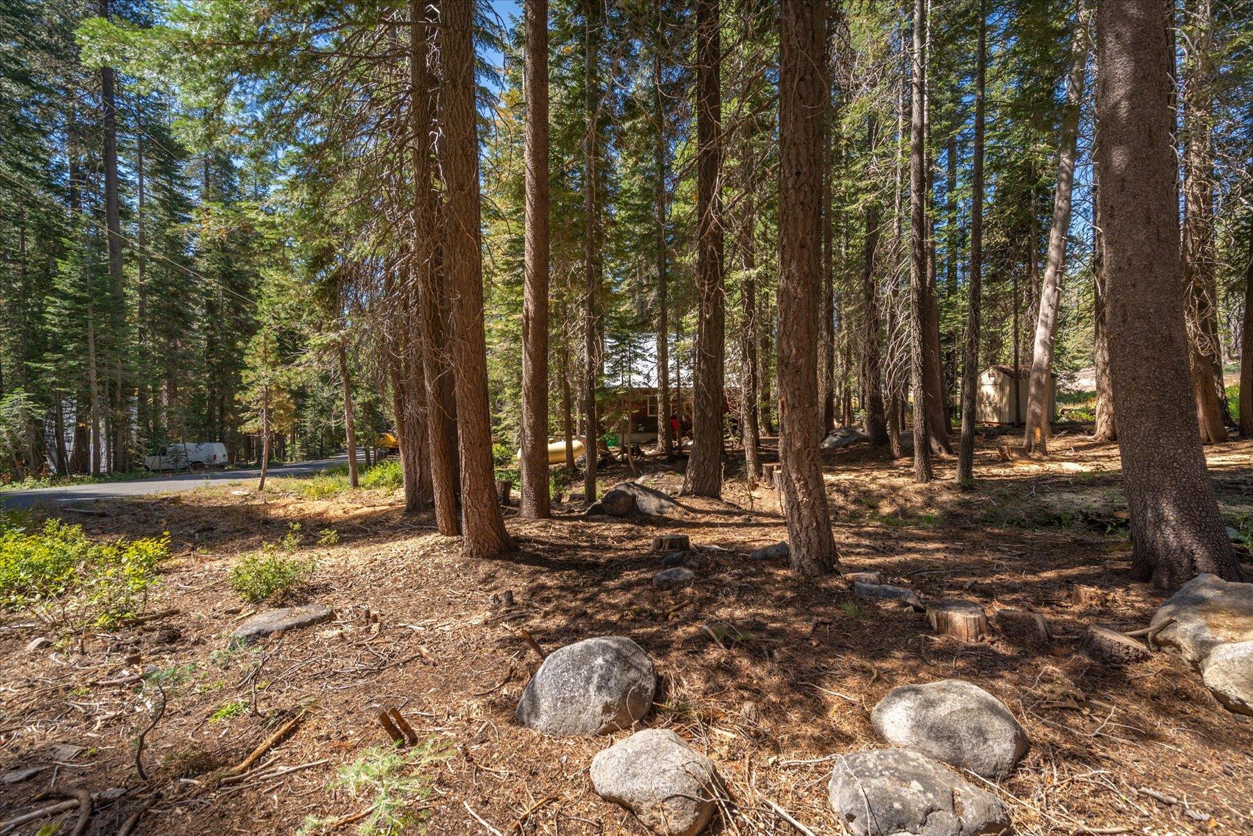 a view of a yard with trees