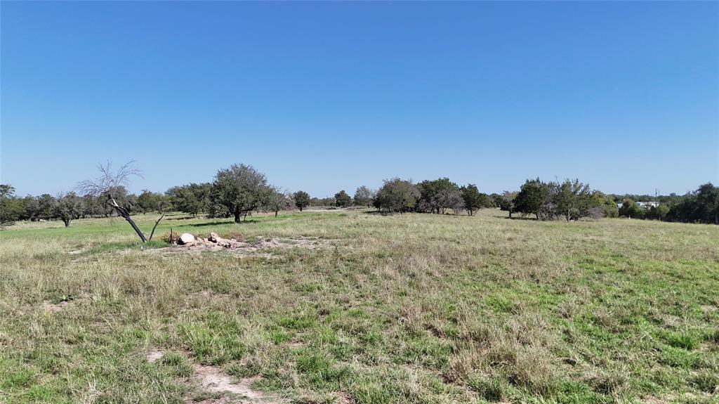 a view of a field with trees in background