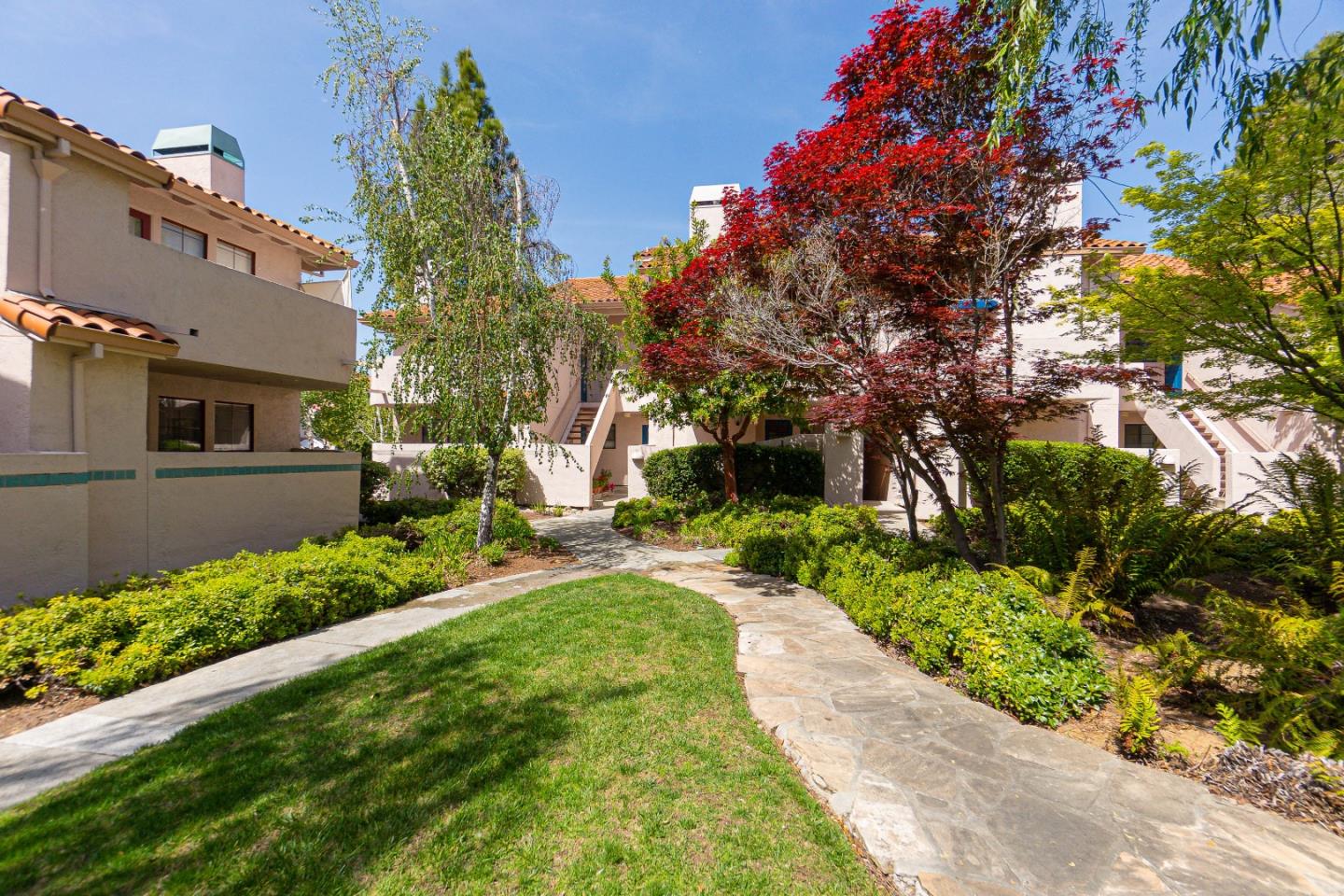 a view of a backyard with potted plants