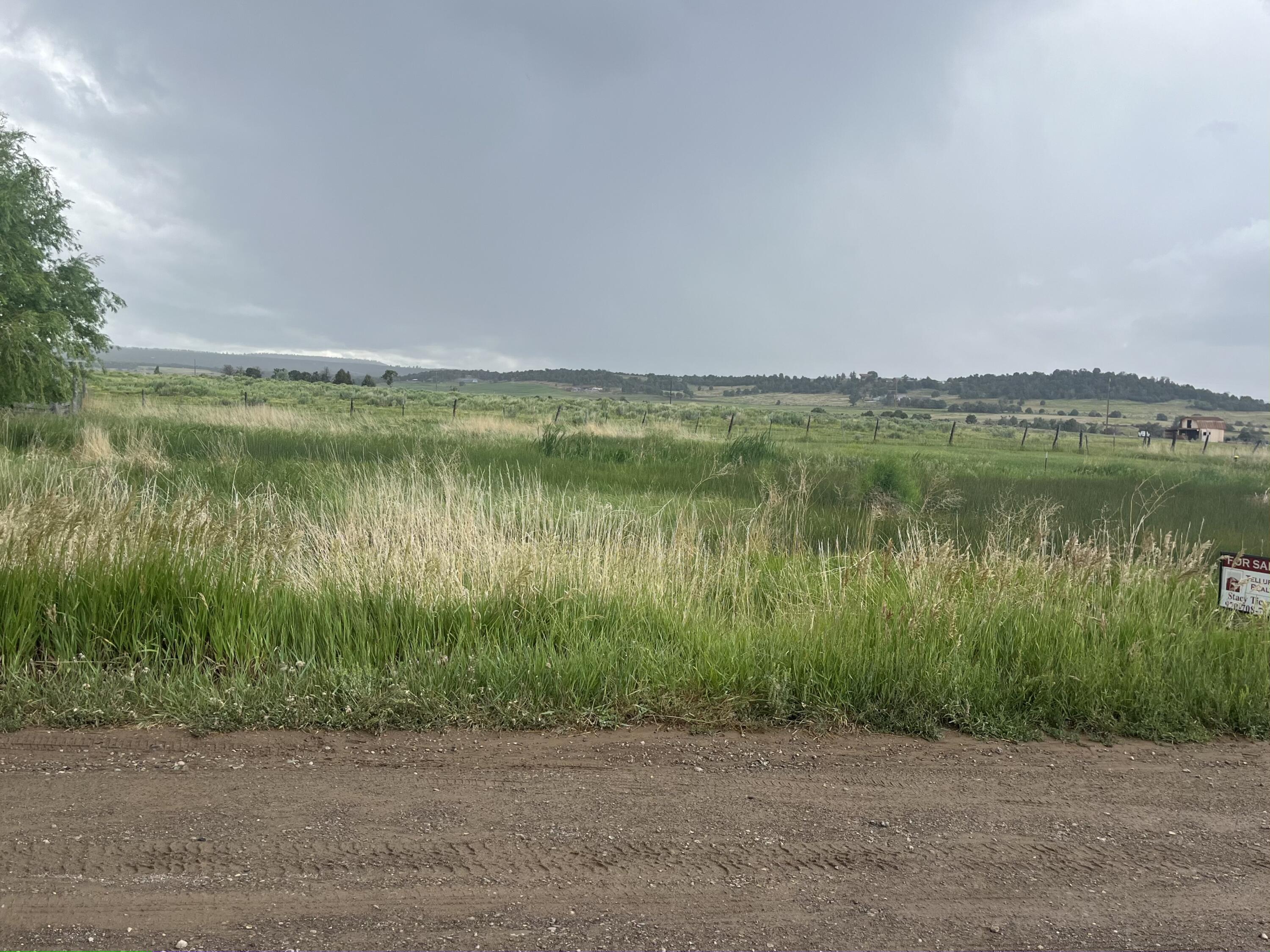 a view of a lake with a field