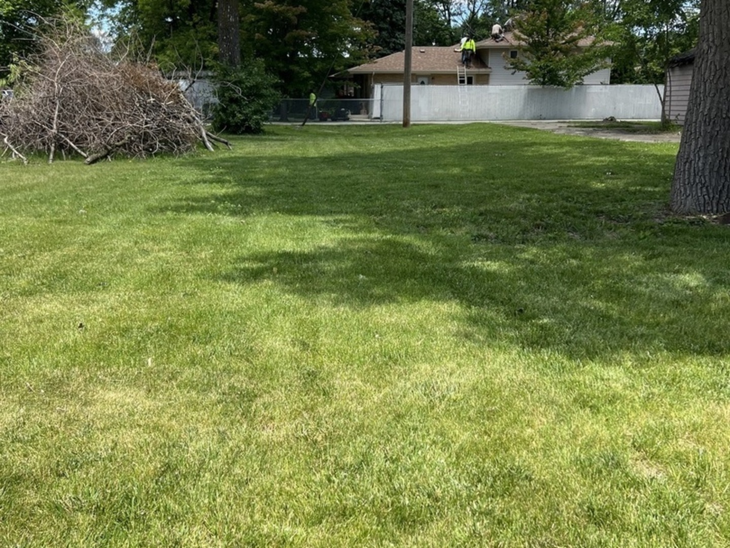 a view of a backyard with large trees