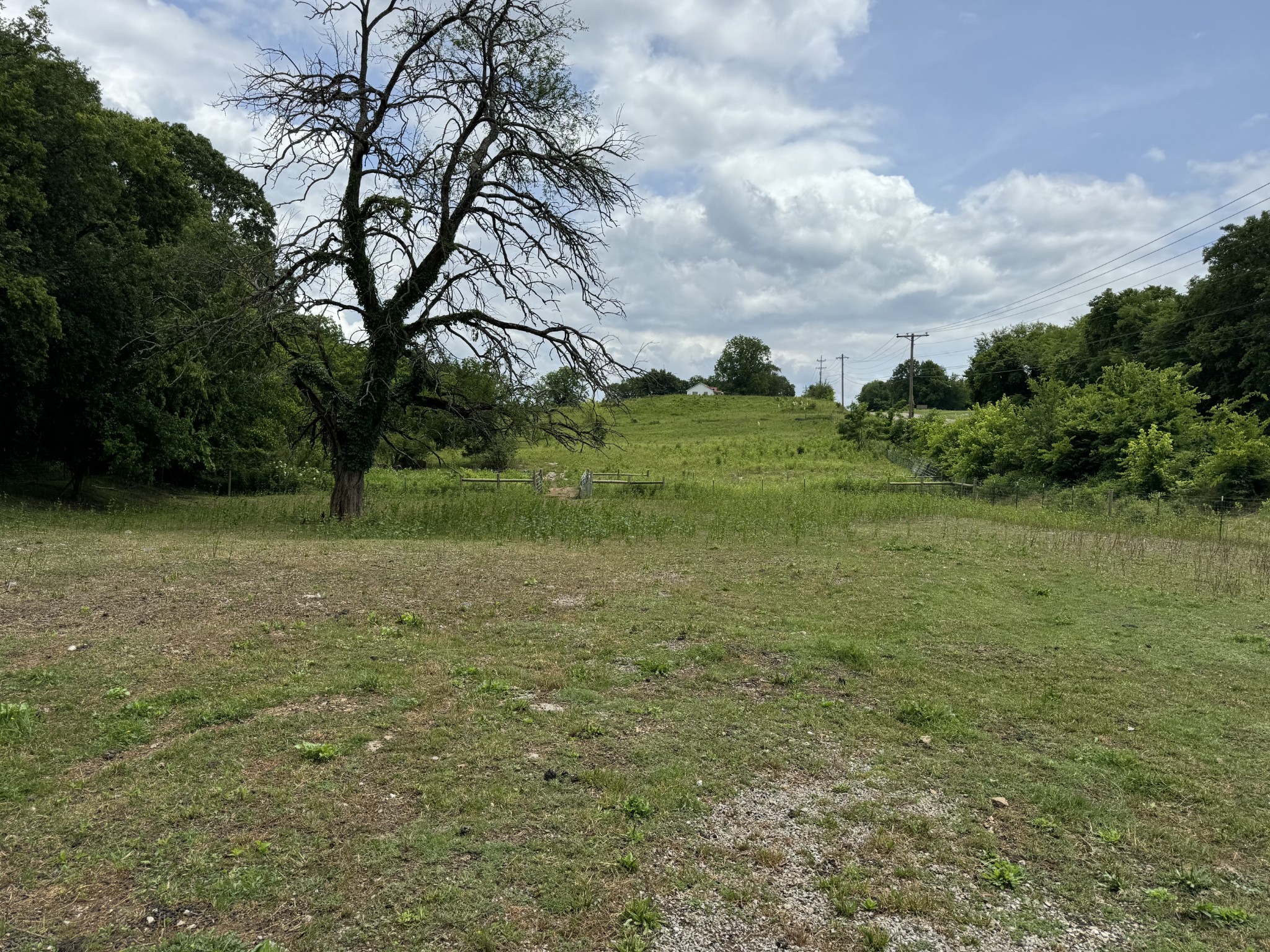 a view of a field with an trees