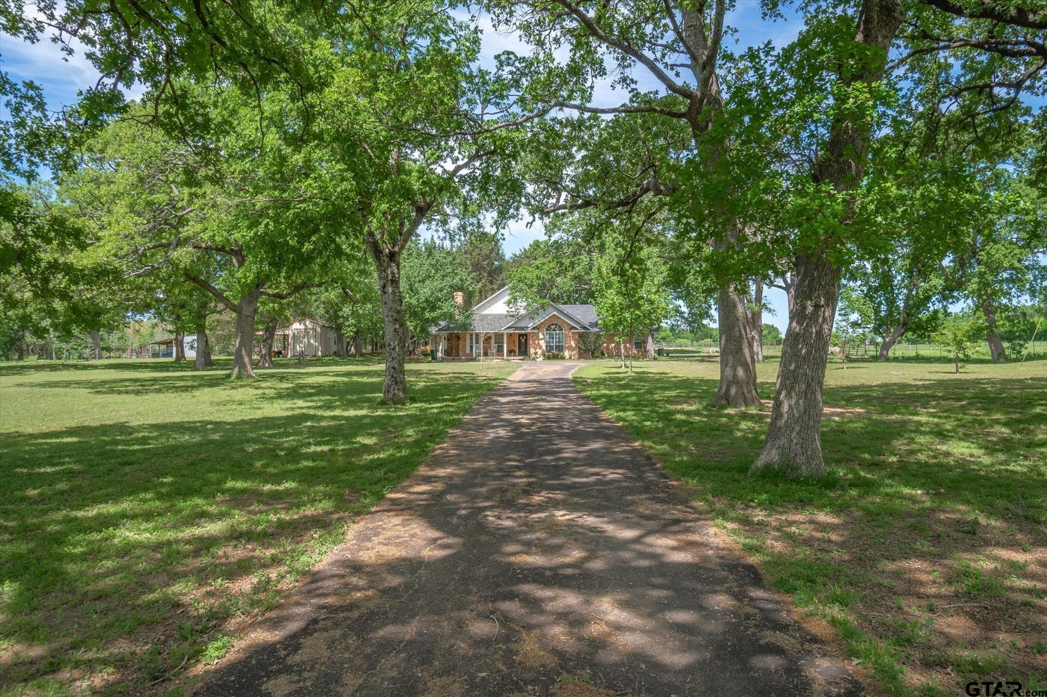 a view of a park with large trees