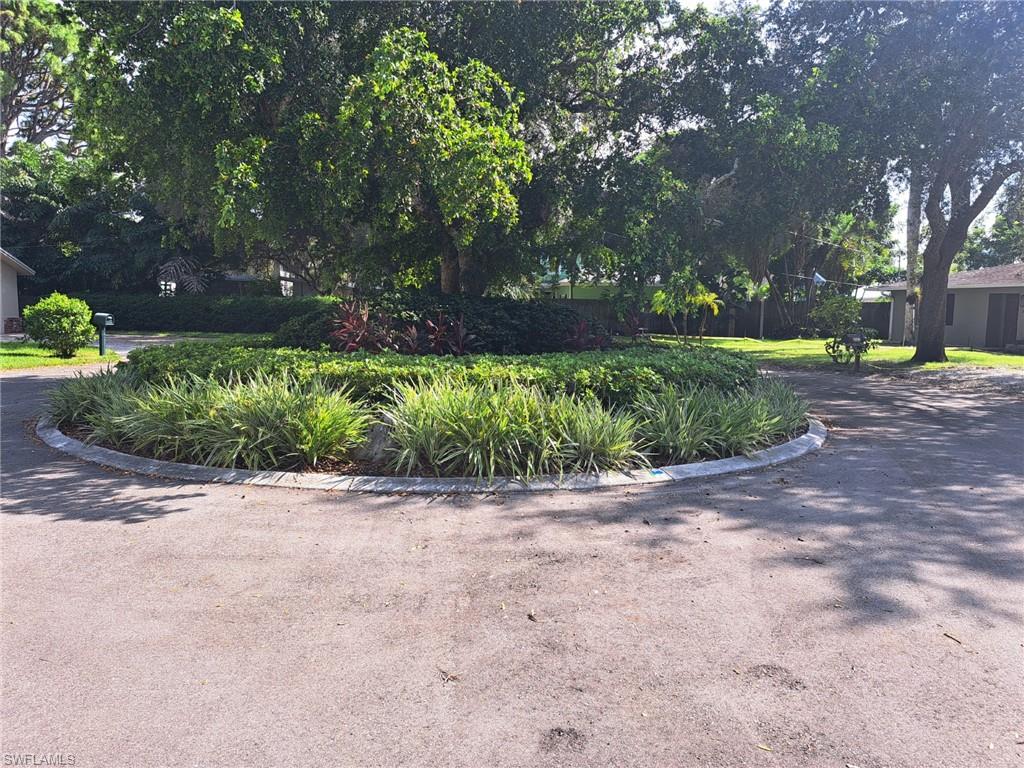 a view of a garden with plants