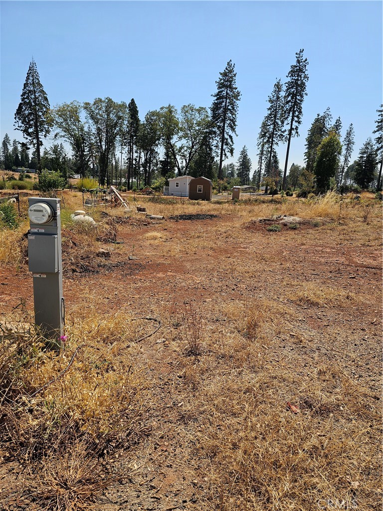 a view of a yard with trees in the background