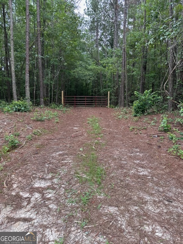 a view of a yard with large trees