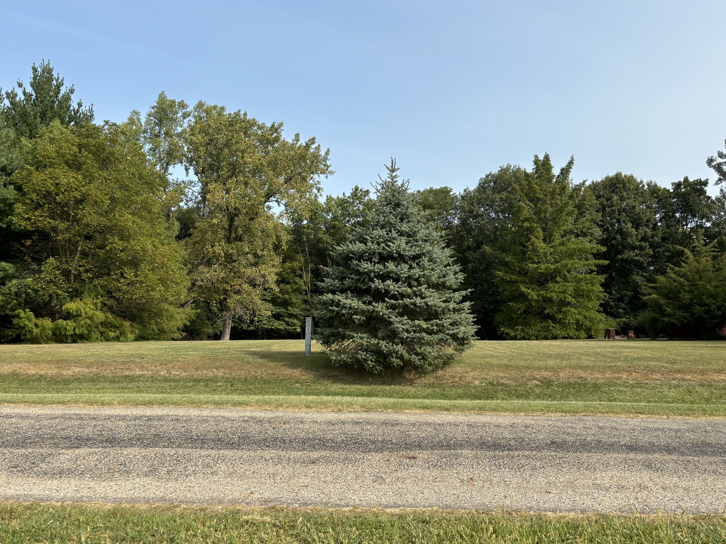 a view of a field with an trees