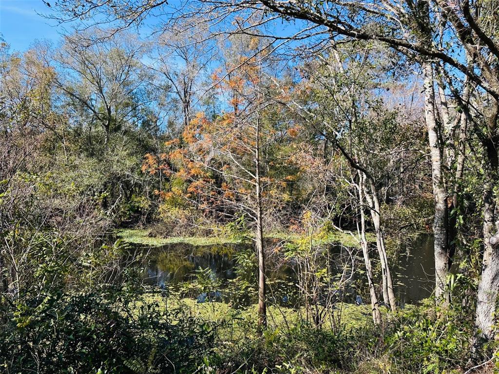 a view of lot of plants and trees