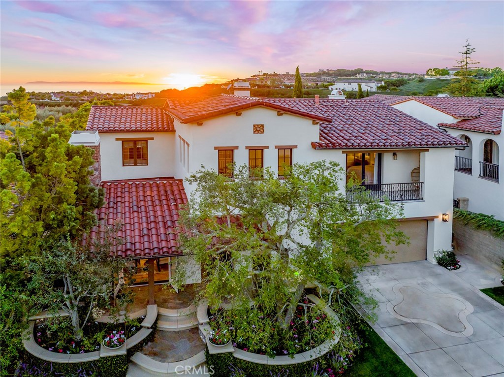 a aerial view of a house with a yard and potted plants