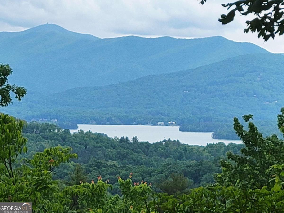 a view of a lake in middle of the forest