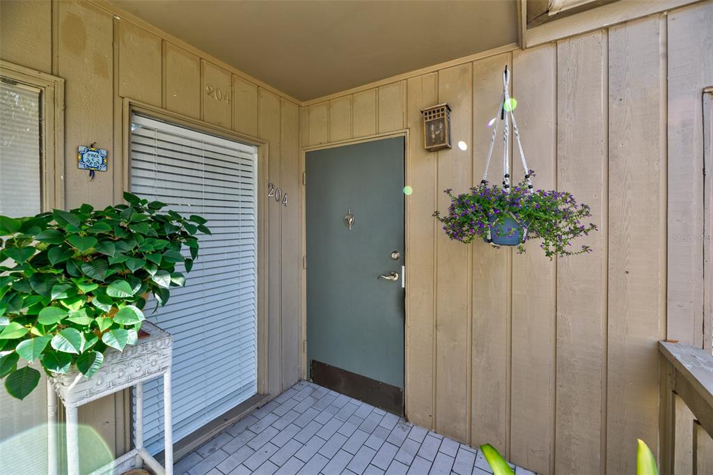 a potted plant sitting in front of a door