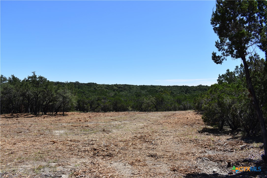 a view of outdoor with trees