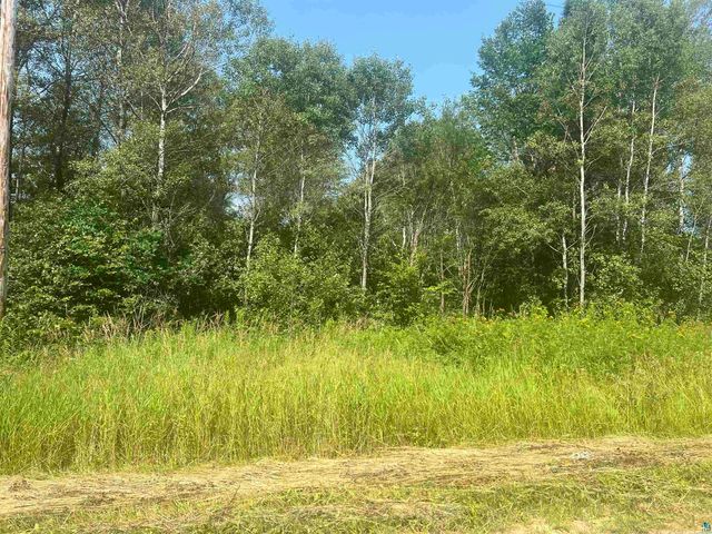 $29,900 | 0 Faust Road | Tomahawk Town