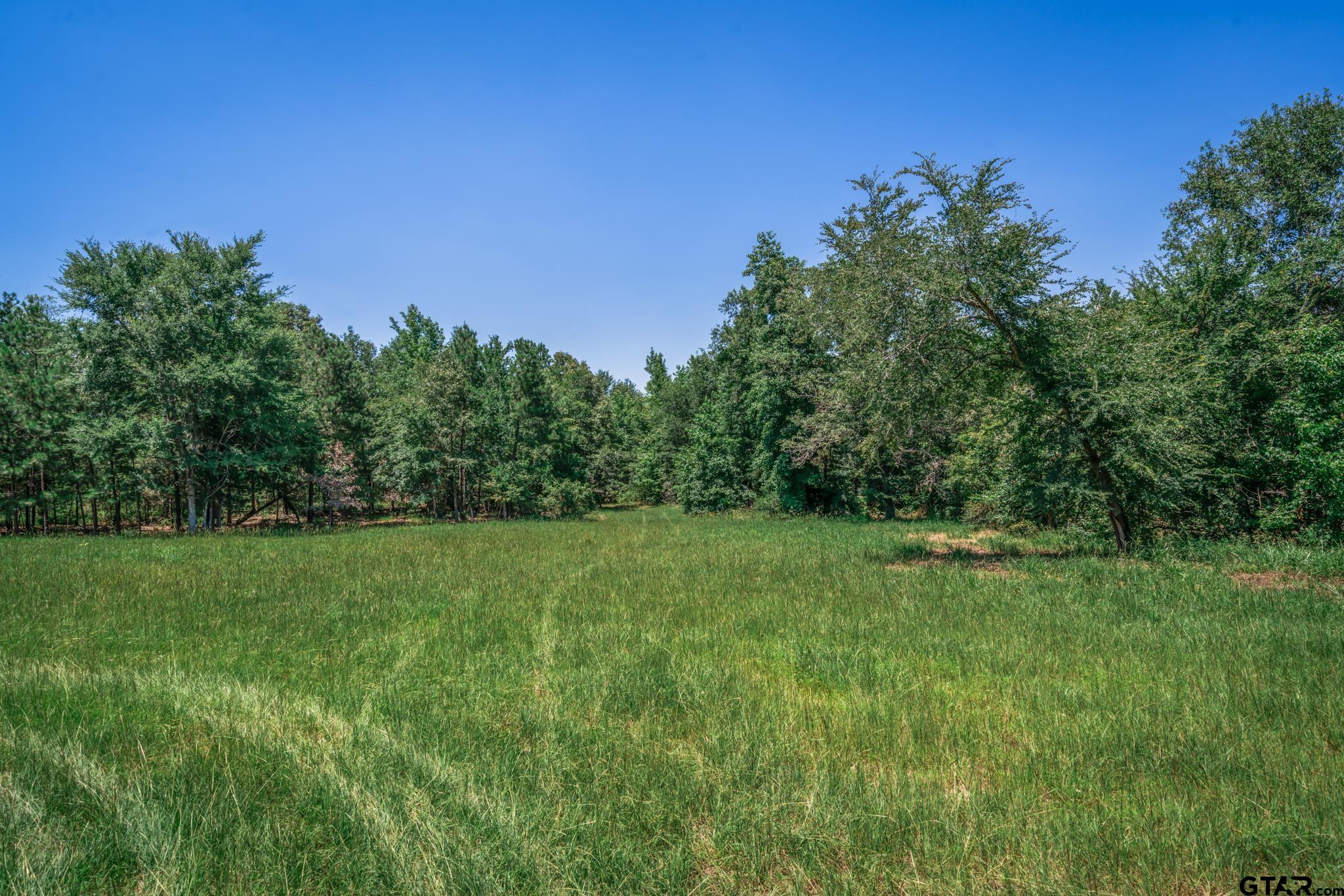 a view of field with trees in the background