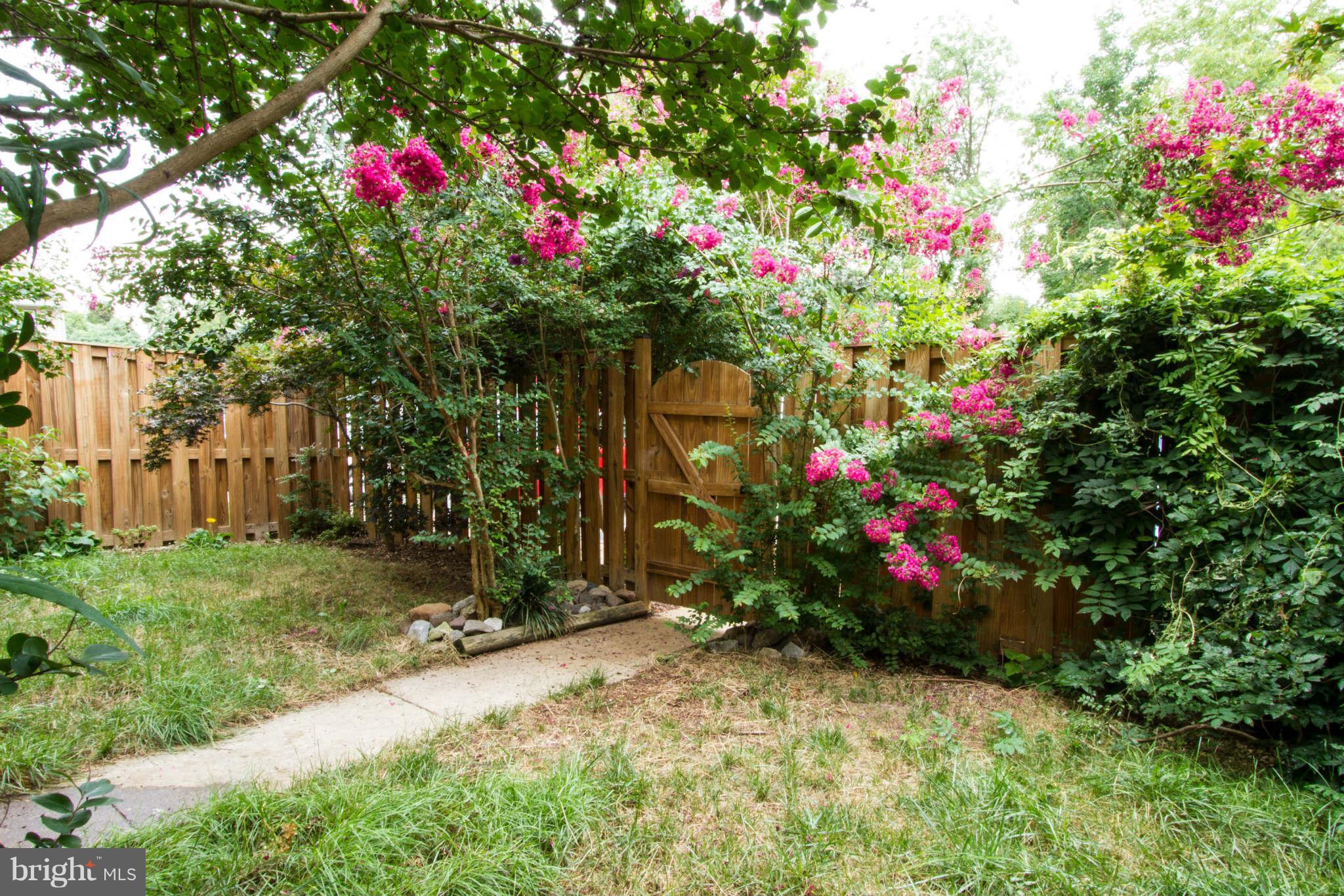 a small garden covered with flowers