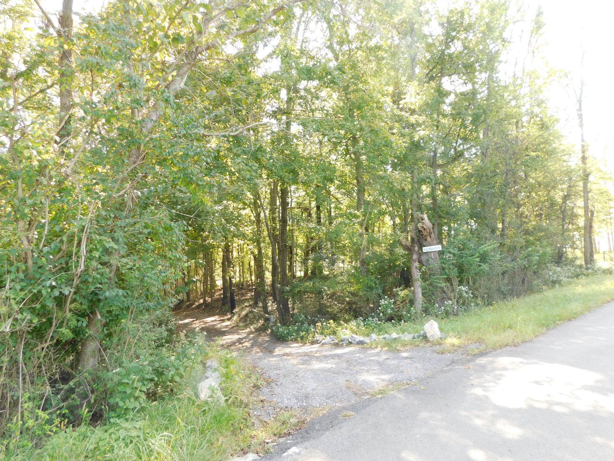 Notice the Hidden Cove Small Sign at the tree...there is an Iron gate but not locked- land is on the left down the gravel driveway