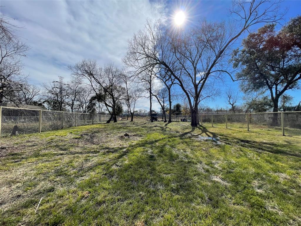 a view of a yard with a tree