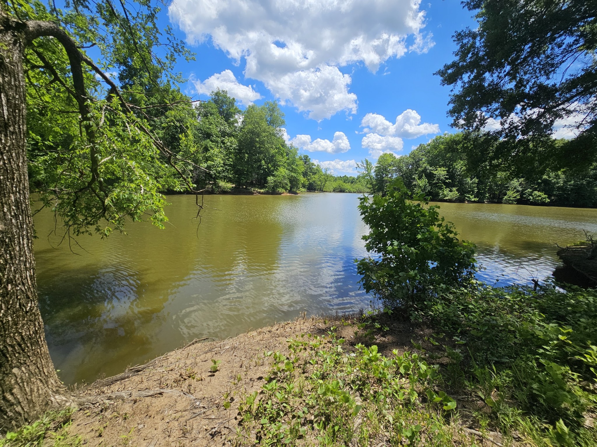 a view of a lake from a yard