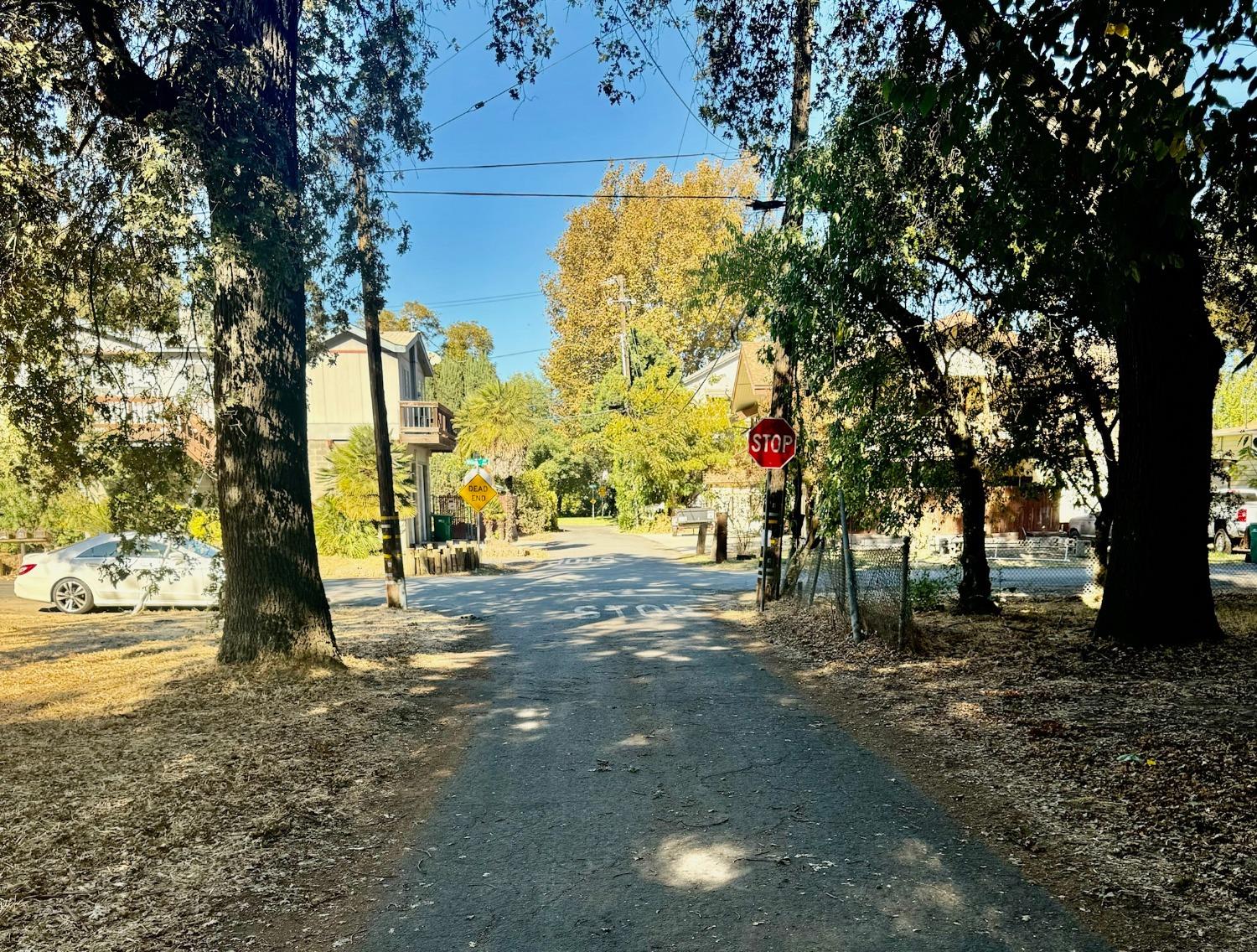 a view of road with large trees