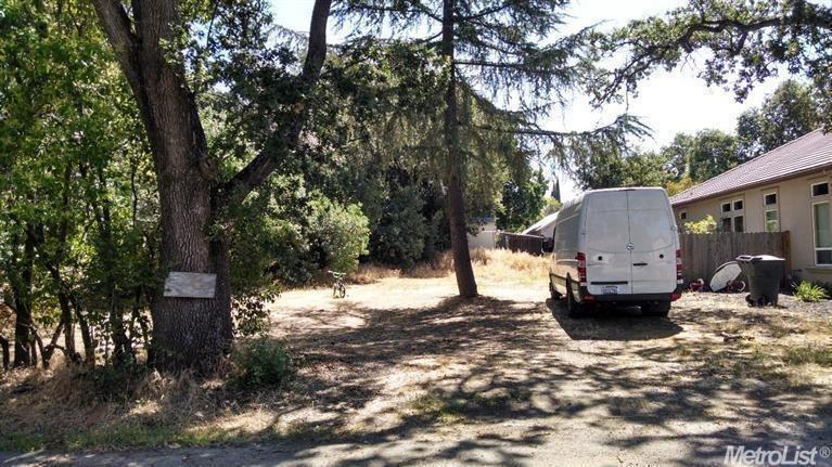 a view of a back yard with large tree