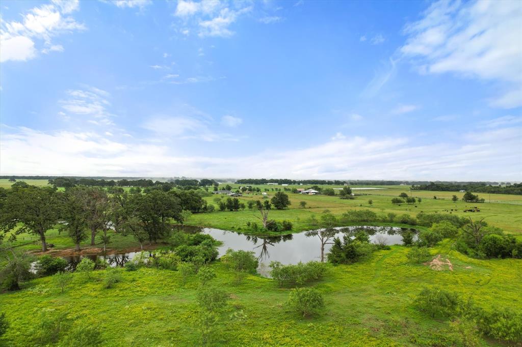 a view of a green field with lots of green space