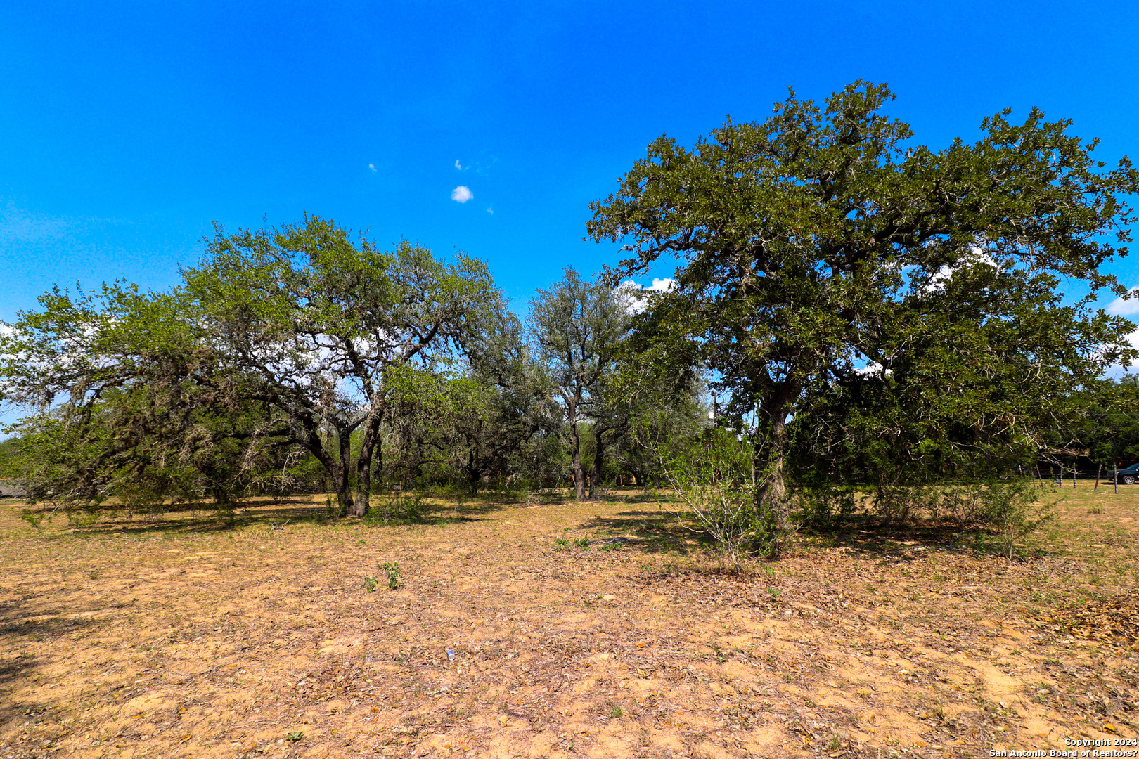 a view of backyard space