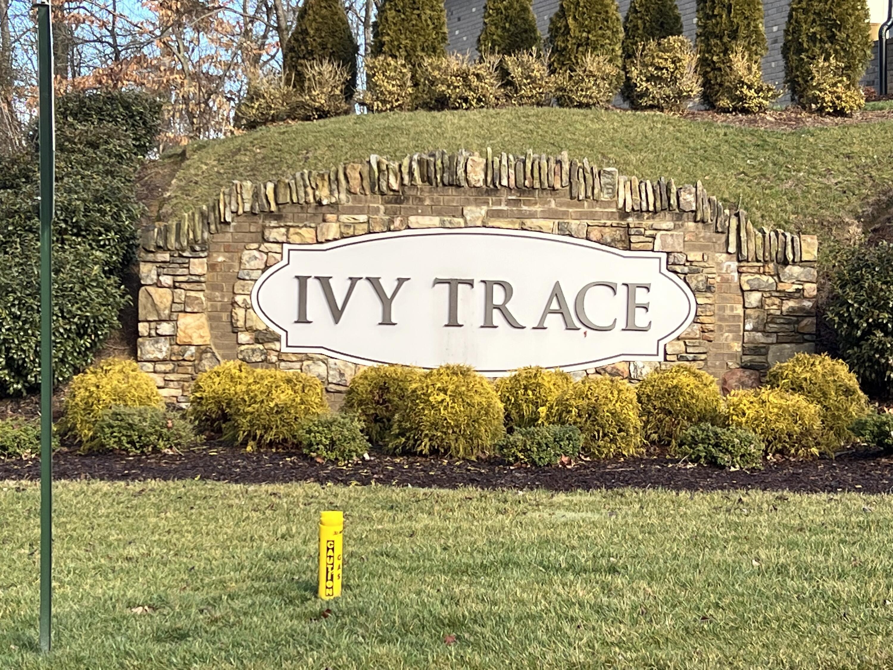 Ivy Trace Entrance